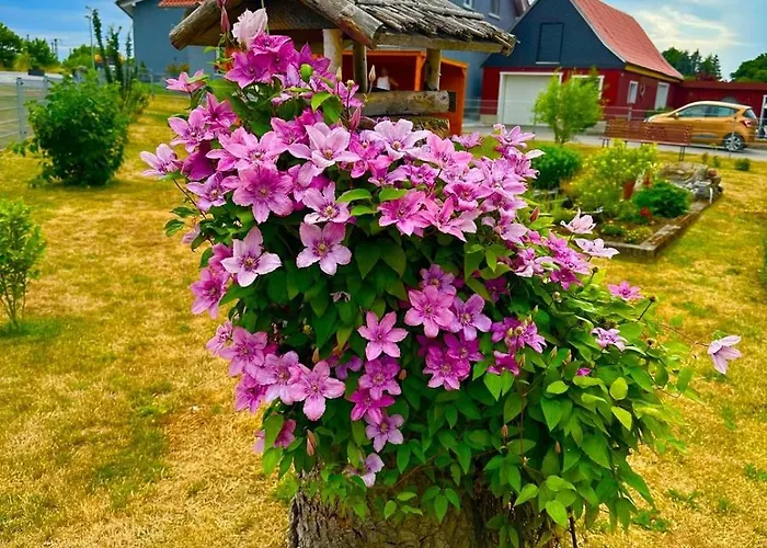 Wiesenblick Semesterbostad Hüttenrode